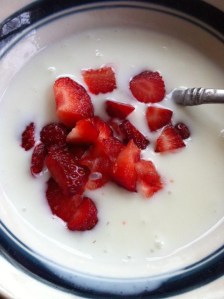 yogurt