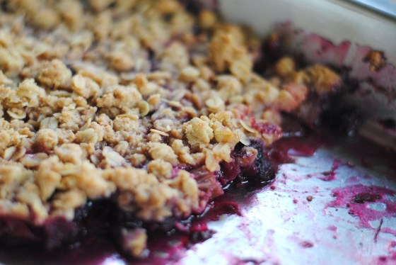 rhubarb strawberry blueberry crisp