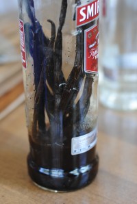 homemade vanilla extract