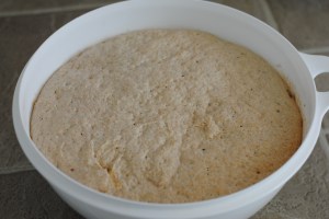 frozen bread dough