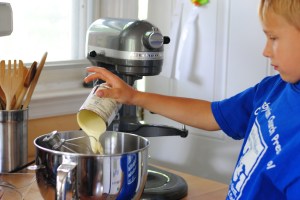 2 ingredient ice cream