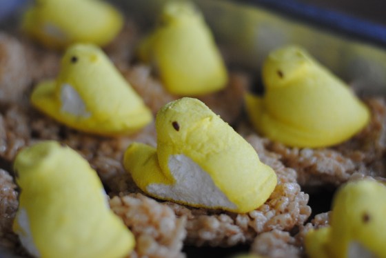 chicks on krispie nests