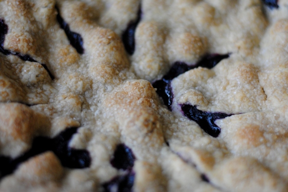 blueberry pie up close